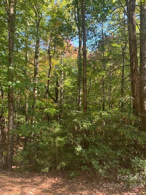 99999 Quail Ridge Road, Unit 246 Lake Lure, NC 28746 - Photo 3 of 21 Gallery Image 3