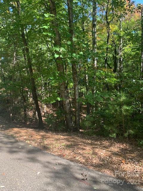99999 Quail Ridge Road, Unit 246 Lake Lure, NC 28746 - Photo 4 of 21 Gallery Image 4