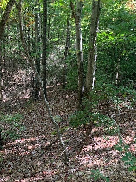 99999 Quail Ridge Road, Unit 246 Lake Lure, NC 28746 - Photo 5 of 21 Gallery Image 5