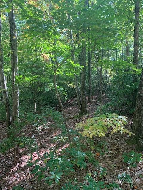 99999 Quail Ridge Road, Unit 246 Lake Lure, NC 28746 - Photo 6 of 21 Gallery Image 6