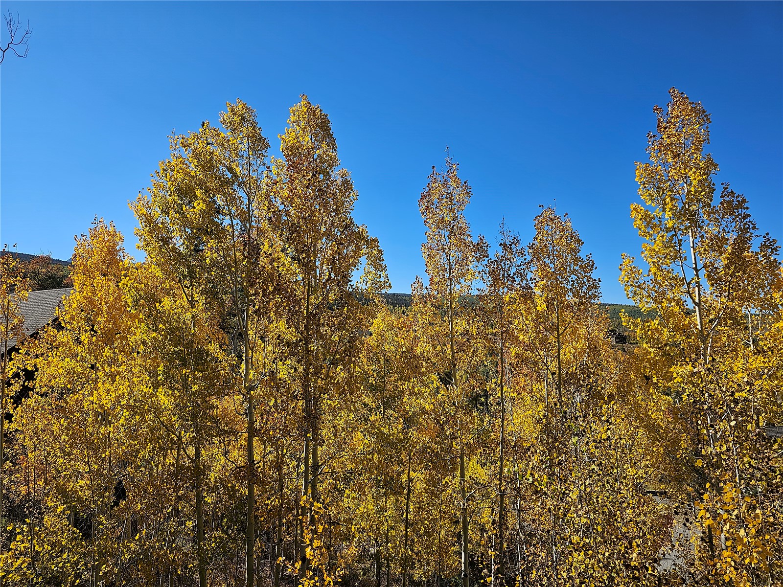 175 Game Trail Road Silverthorne, CO 80498 - Photo 29 of 34 Gallery Image 29