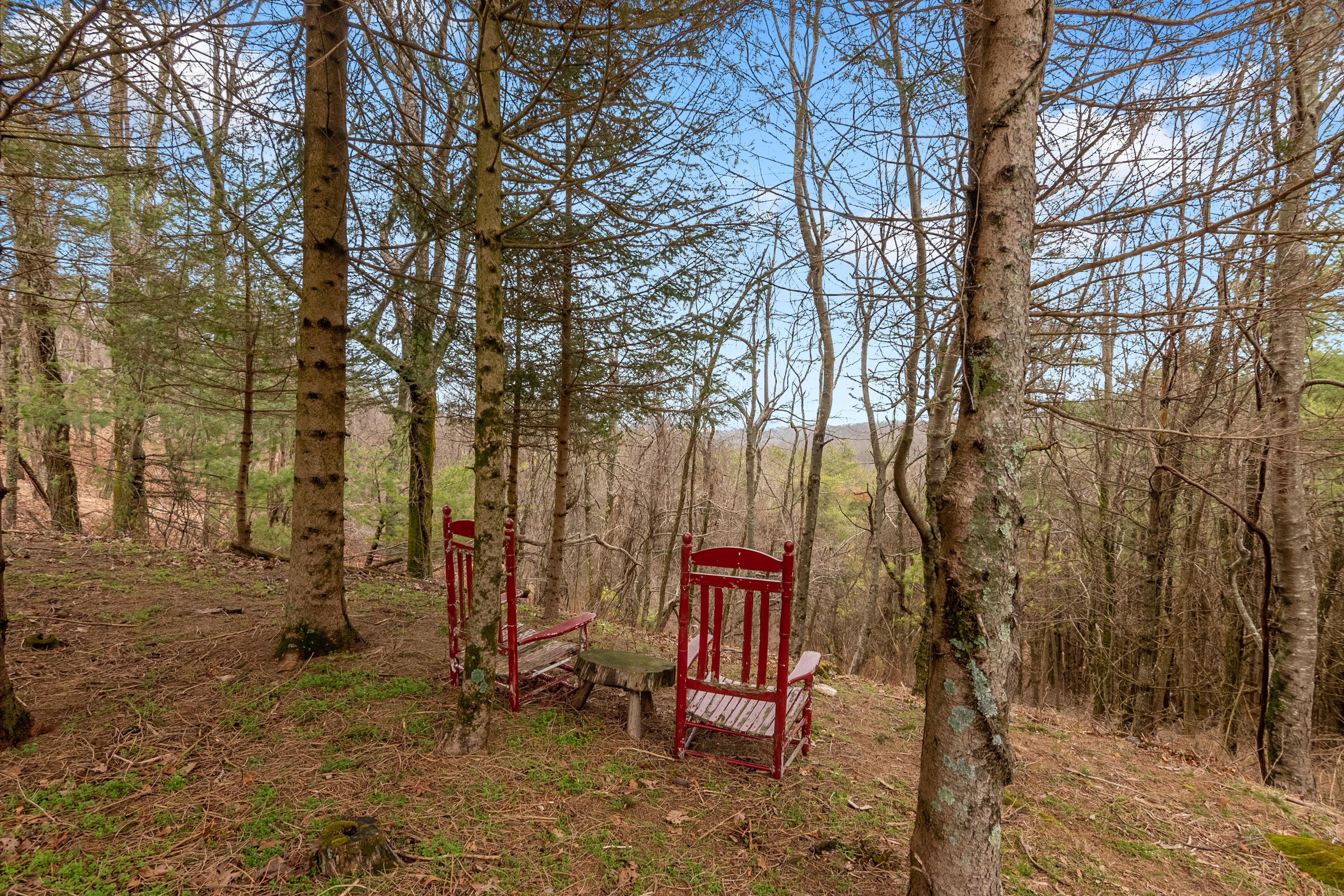 3275 Black Ridge Road Southwest Floyd, VA 24091 - Photo 5 of 72 DSC_1928-HDR