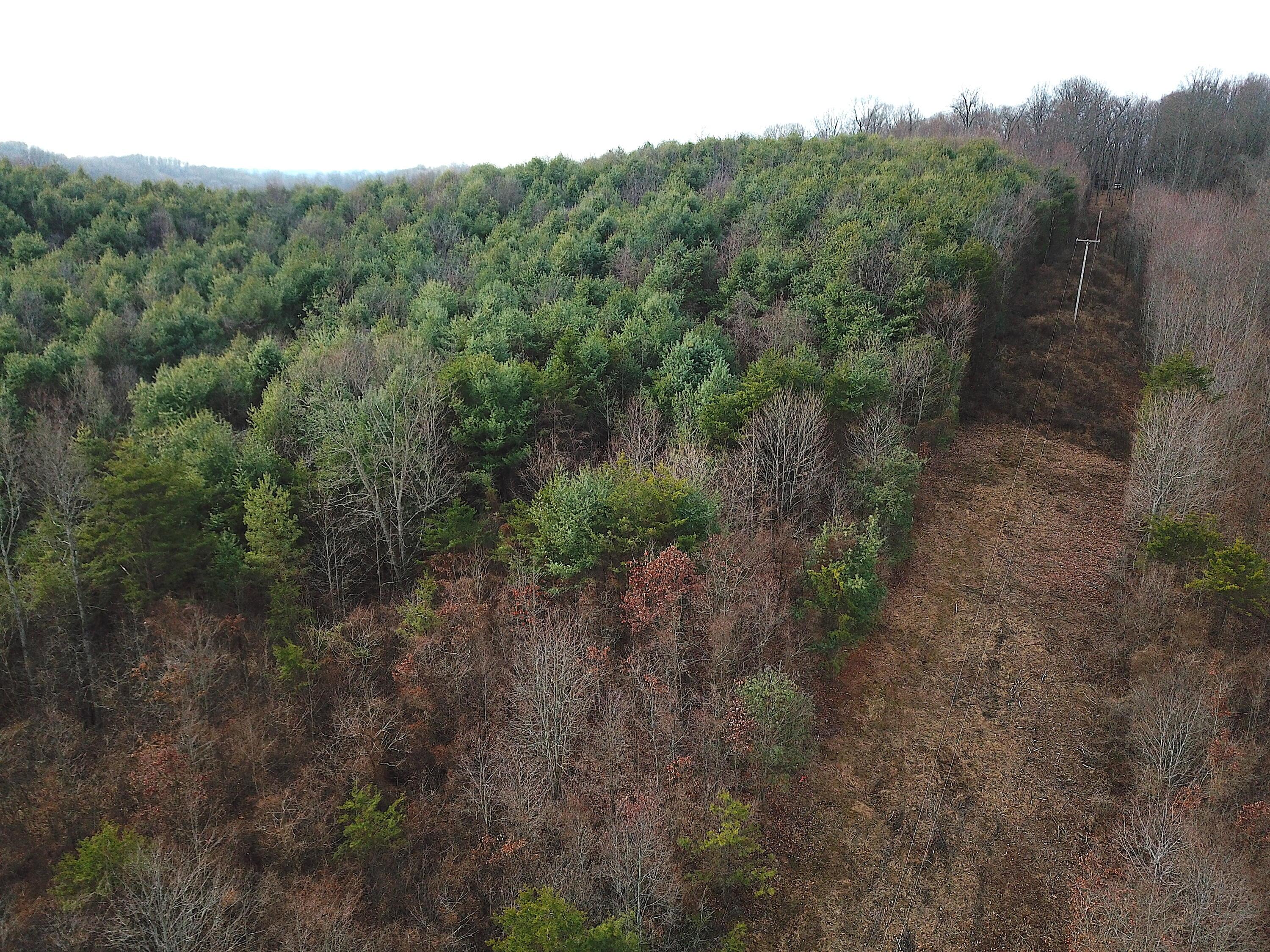 0 Minerton Chapel Road Vinton, OH 45686 - Photo 6 of 25 DJI_0226