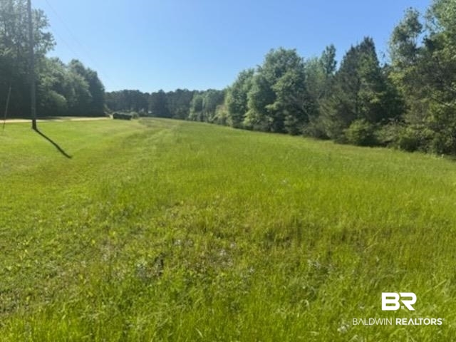 0 Clearview Road Flomaton, AL 36441 - Photo 4 of 6 View of landscape with a forest view
