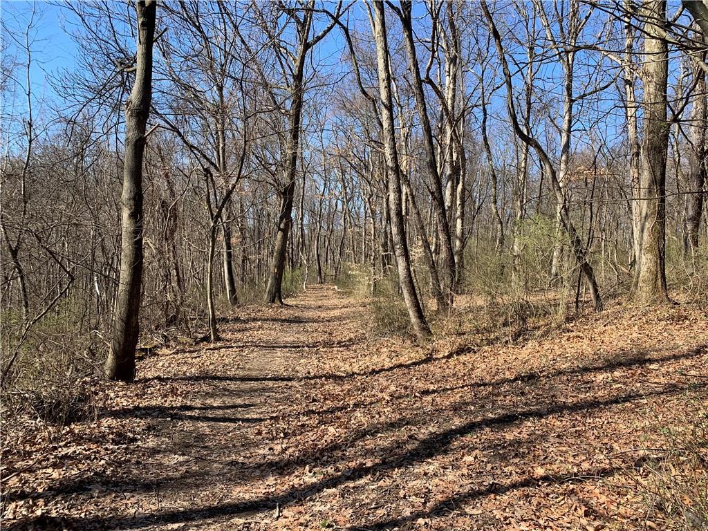 a view of a backyard of the house