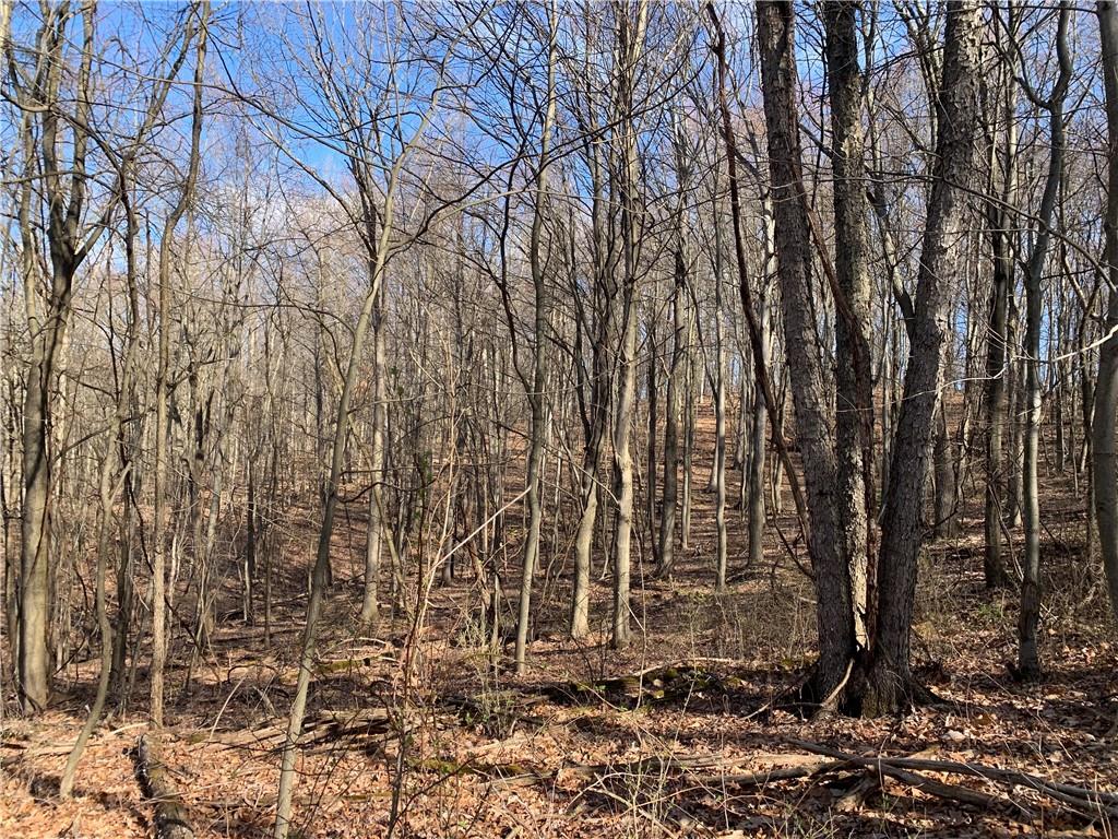 0 Bakerstown Road Tarentum, PA 15084 - Photo 3 of 6 a view of a backyard