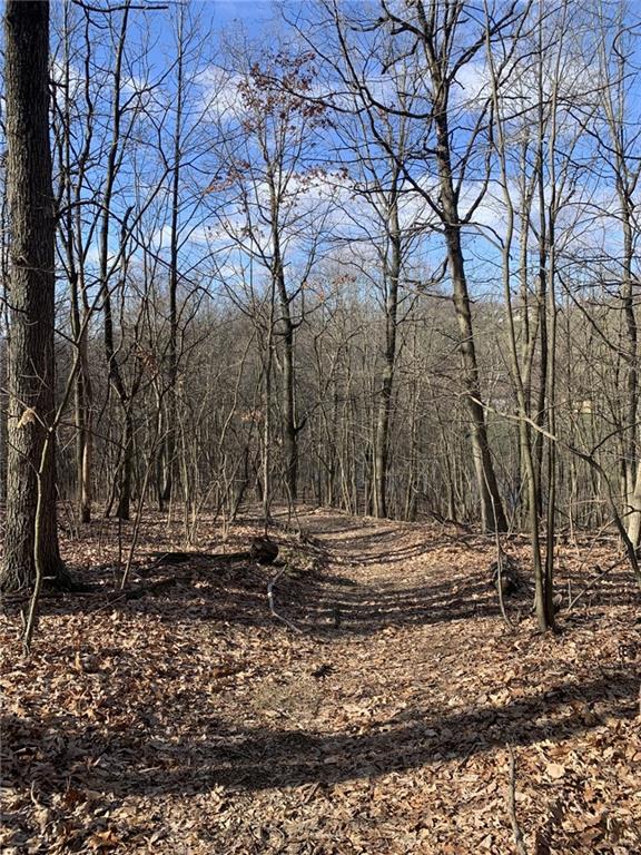 0 Bakerstown Road Tarentum, PA 15084 - Photo 4 of 6 a view of dirt yard with large trees