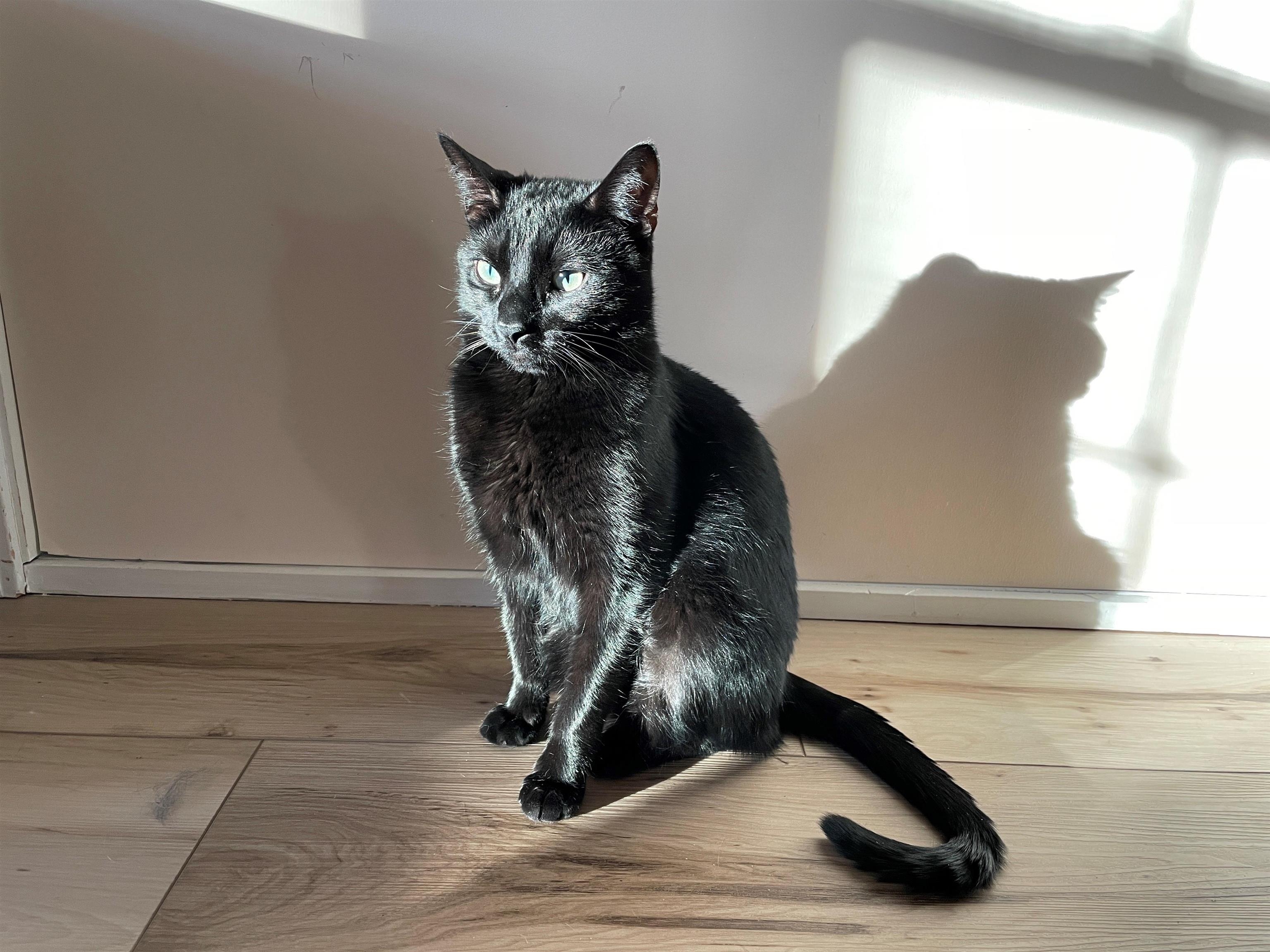 30 Hanover Street, Unit 305 Manchester, NH 03101 - Photo 39 of 40