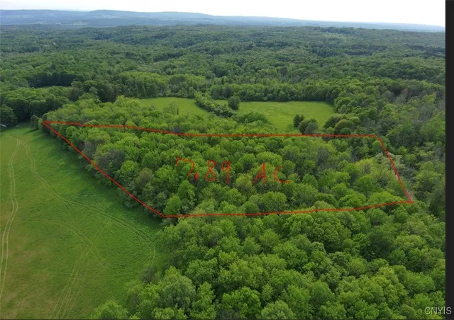 $32,500 | 0 Lynch Road, Newport, NY 13416