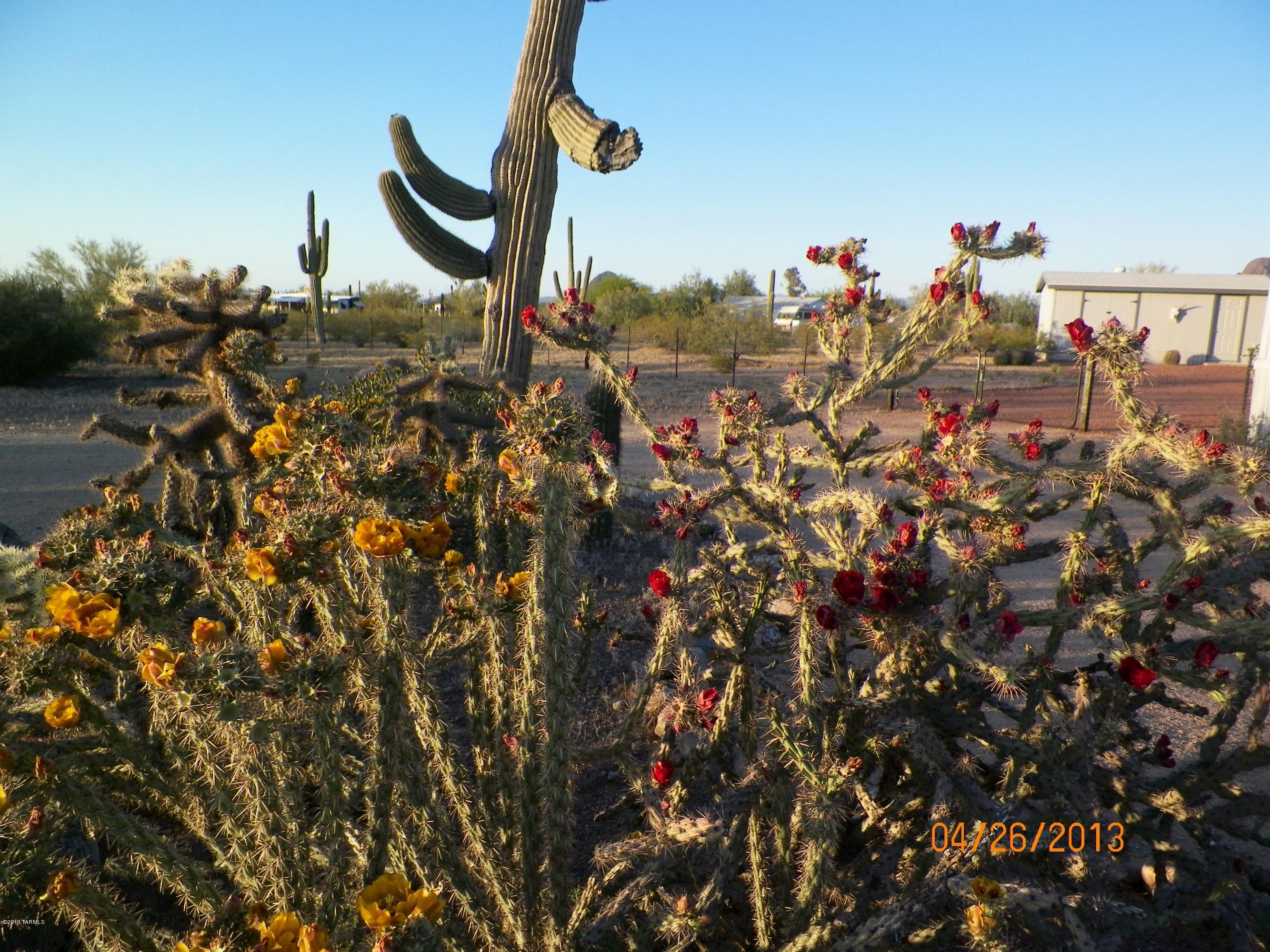 11616 West Orange Grove Road Tucson, AZ 85743 - Photo 33 of 41 Gallery Image 33
