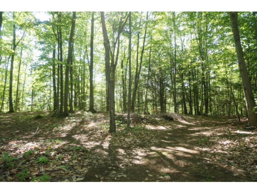 Lot 3 Tarbox Road Jericho, VT 05465 - Photo 4 of 6