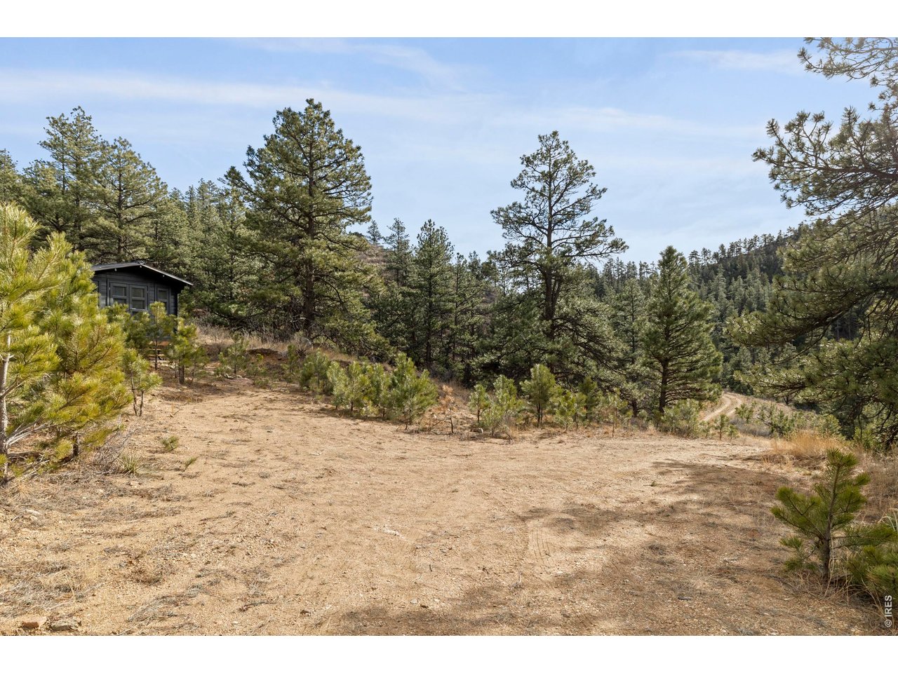 5771 Obenchain Road Laporte, CO 80535 - Photo 12 of 36 Future home site