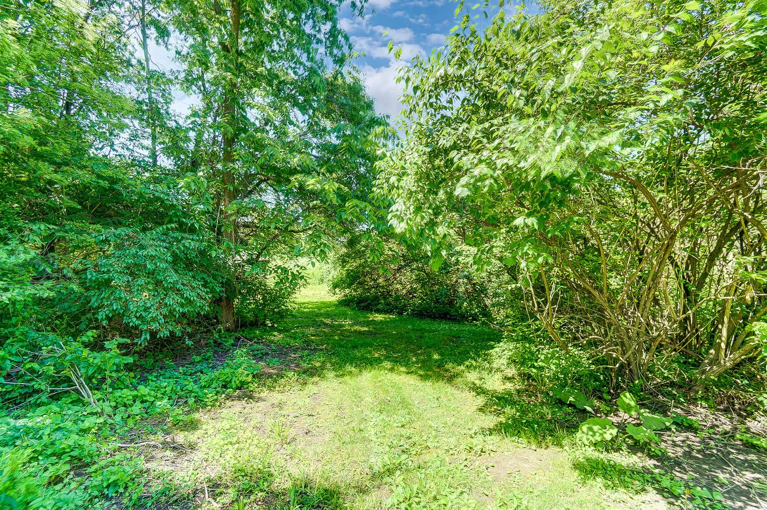 559 West County Line Road Springfield, OH 45502 - Photo 44 of 54 Gallery Image 44