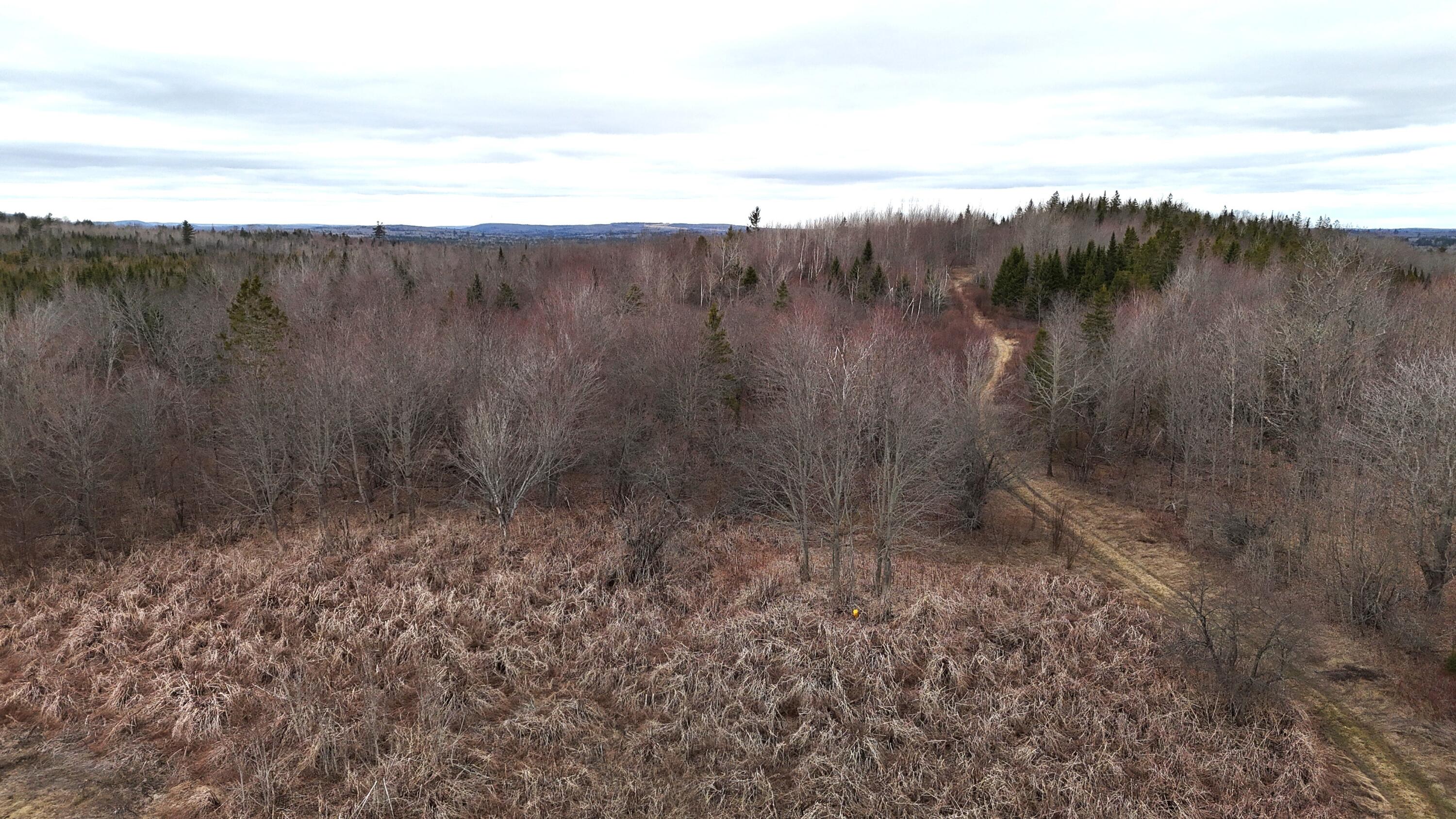 11-010.2 Monument Road Amity, ME 04471 - Photo 3 of 18 DJI_20250417132208_0268_D