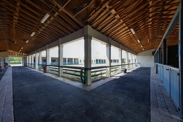 a view of backyard with wooden ceiling