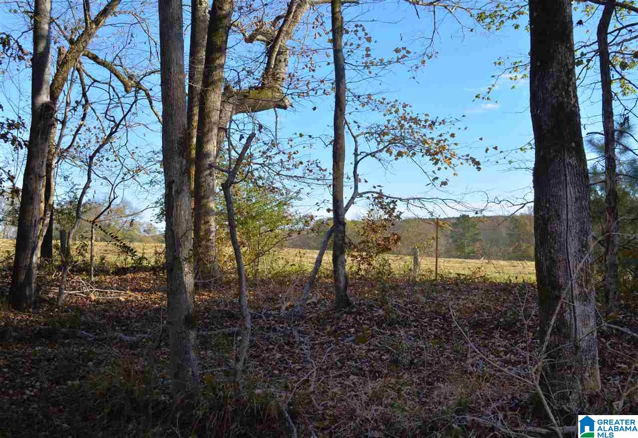 8333 Chelsea Road, Unit 2 Columbiana, AL 35051 - Photo 11 of 13