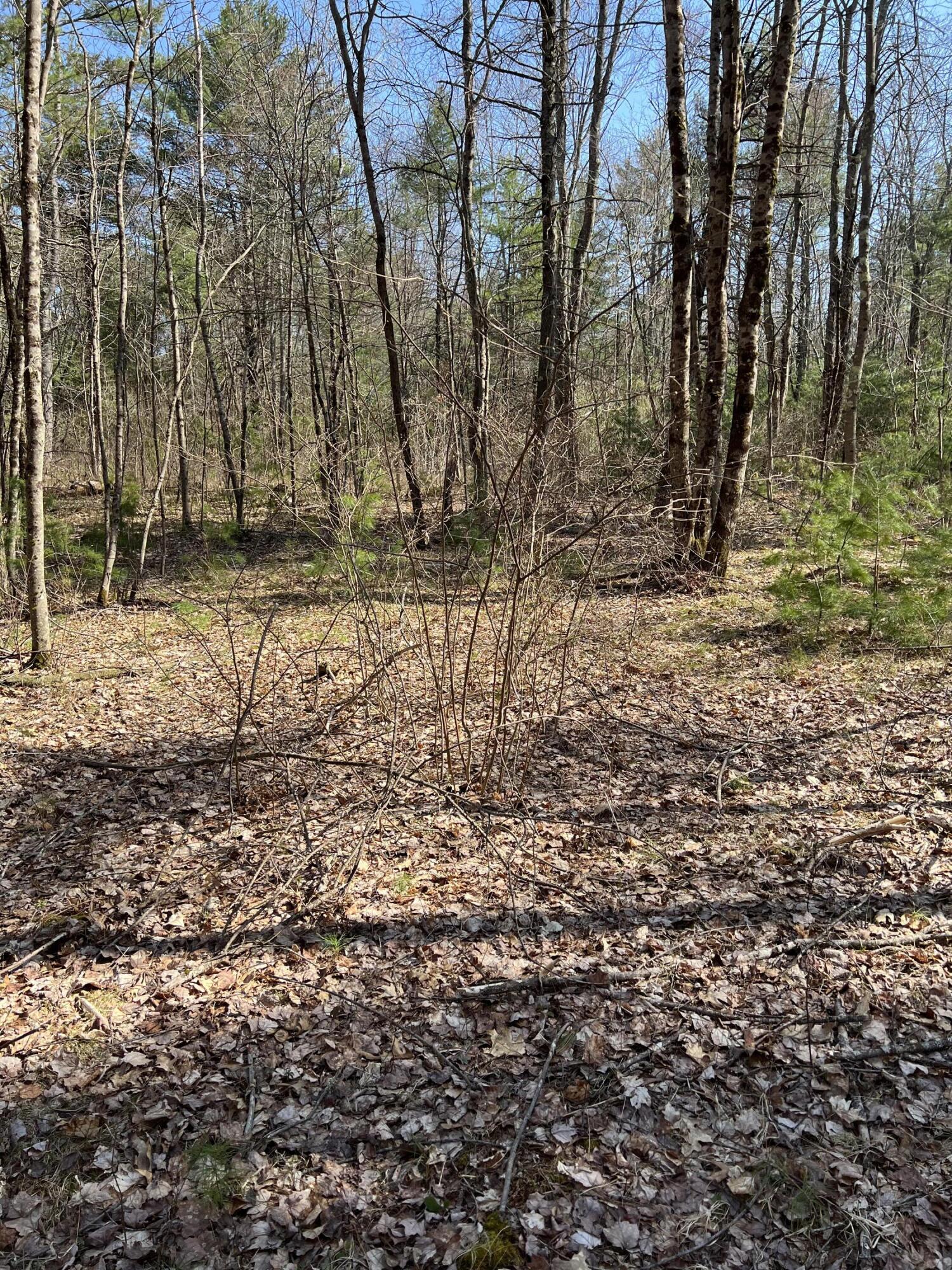 Ml 03-76-4 Ml 03-76-4 Cripple Crk Dr  