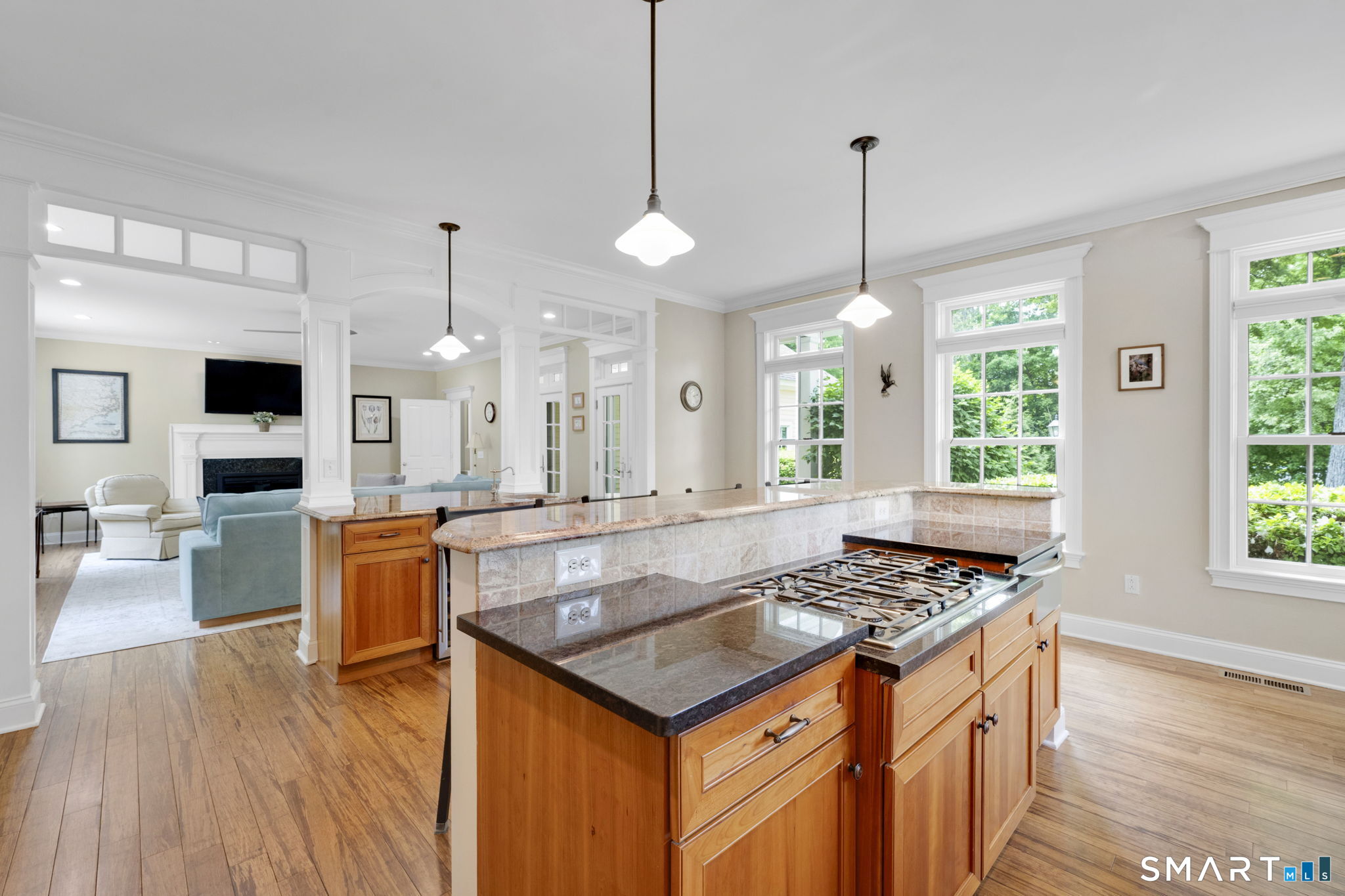 55 Middle Haddam Road East Hampton, CT 06456 - Photo 8 of 40