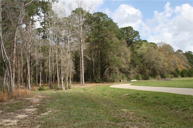 21149 Little River Bend Covington, LA 70433 - Photo 11 of 34