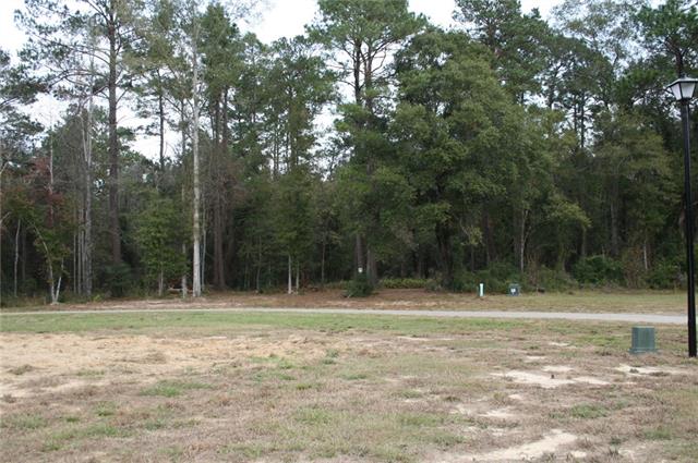 21149 Little River Bend Covington, LA 70433 - Photo 29 of 34