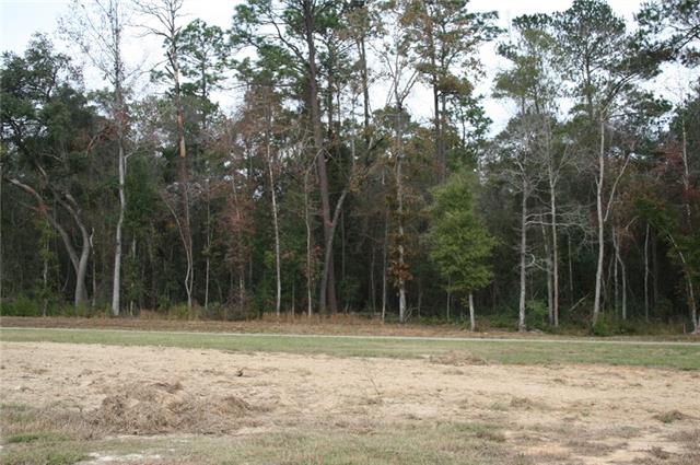21149 Little River Bend Covington, LA 70433 - Photo 30 of 34