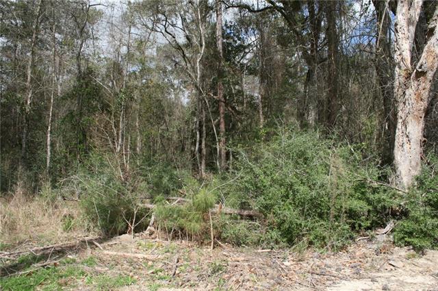 21149 Little River Bend Covington, LA 70433 - Photo 5 of 34