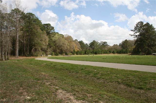 21149 Little River Bend Covington, LA 70433 - Photo 7 of 34