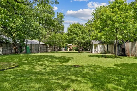 a view of a trees in a yard