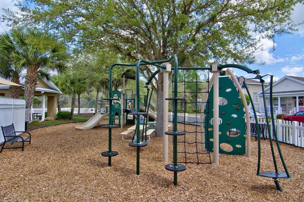 3436 Lonzalo Way New Port Richey, FL 34655 - Photo 50 of 52