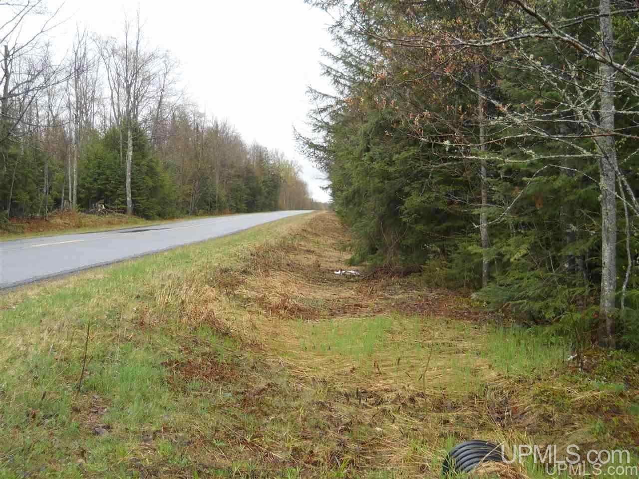 Tbd Tbd Off Us41 Lanse, MI 49946 - Photo 5 of 17