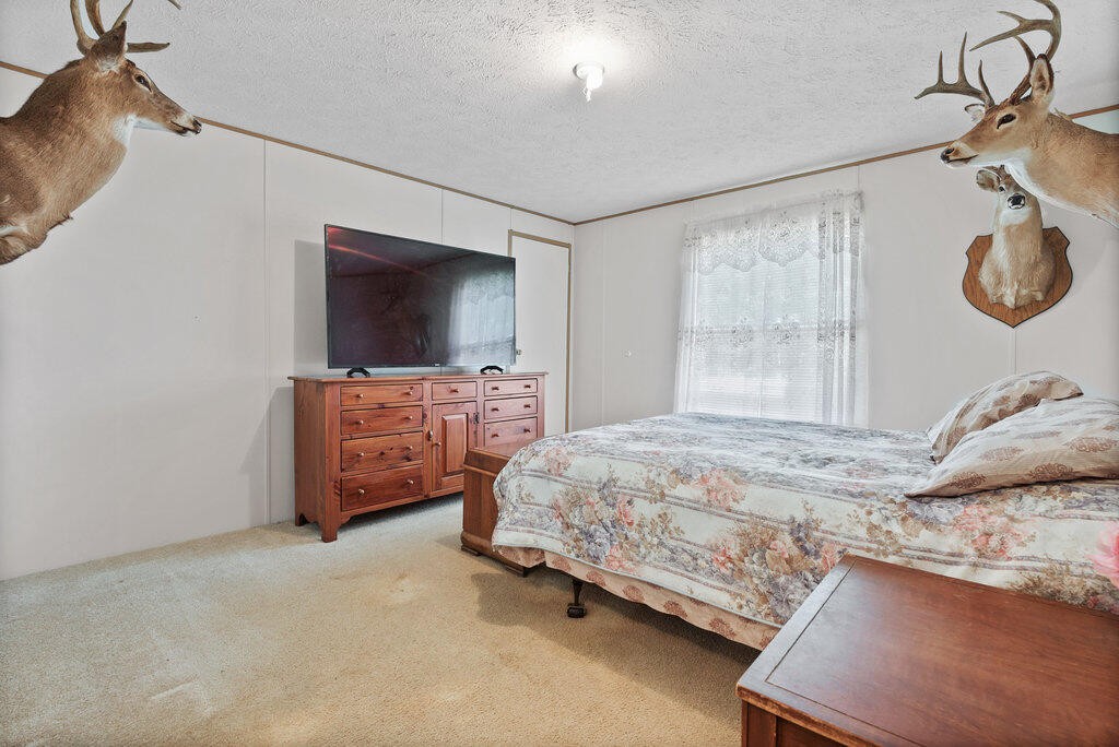 214 Hugh Allison Road Pikeville, TN 37367 - Photo 20 of 38 Gallery Image 20