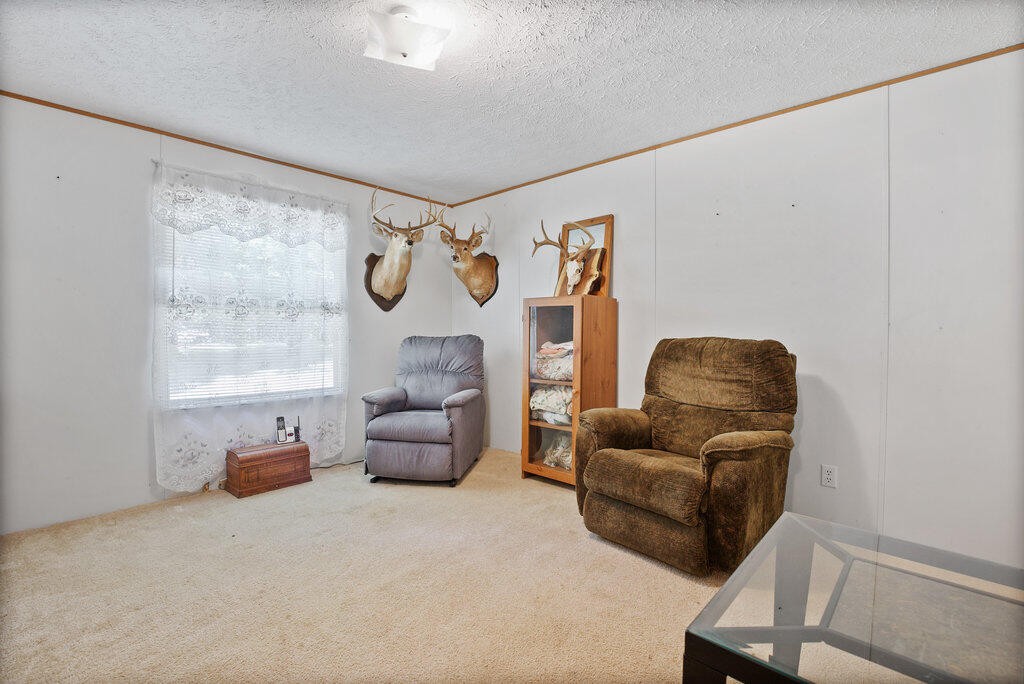 214 Hugh Allison Road Pikeville, TN 37367 - Photo 21 of 38 Gallery Image 21