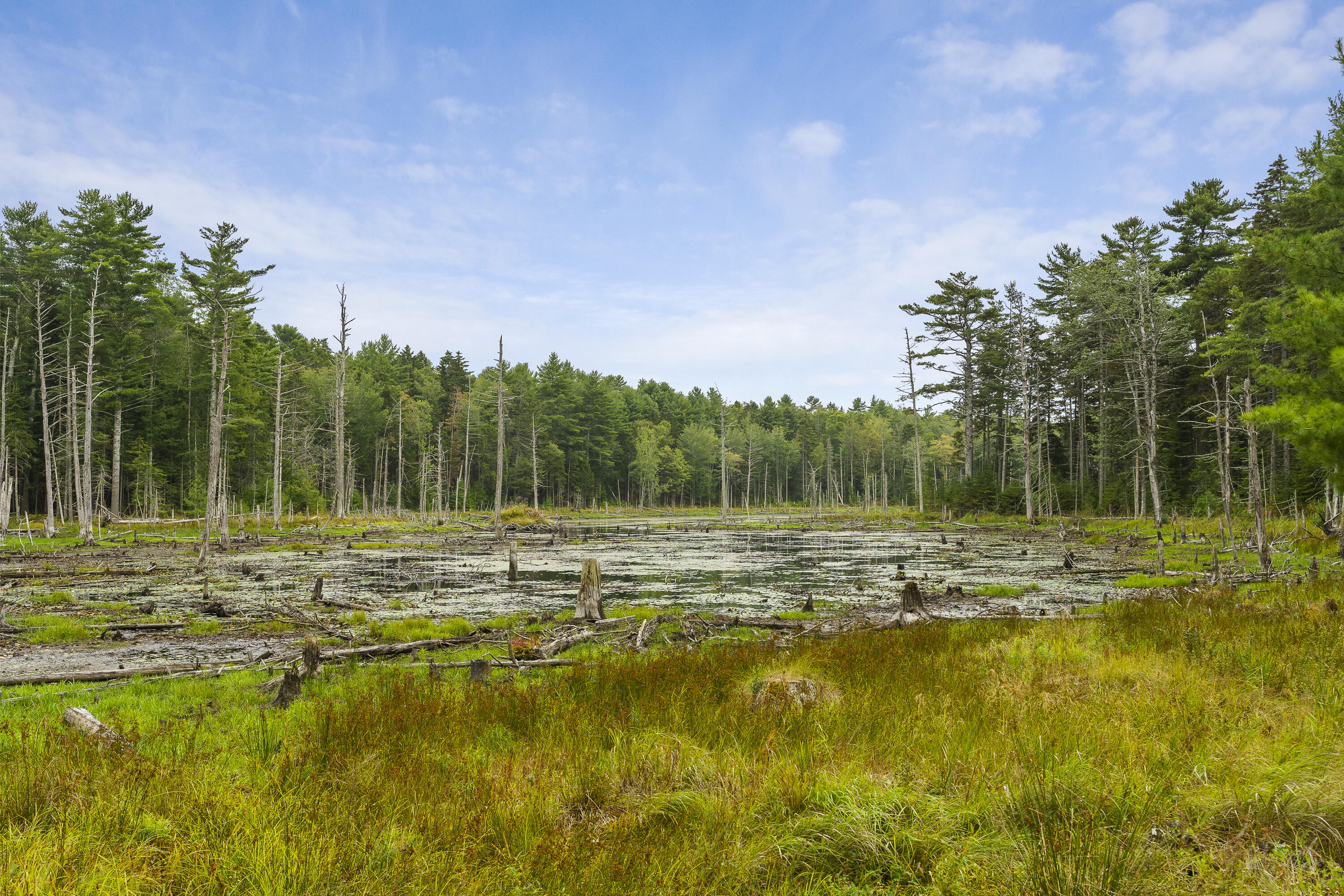 27 Doggett Road Westport Island, ME 04578 - Photo 68 of 71 68-27 Doggett Rd, Westport Island, ME-TP