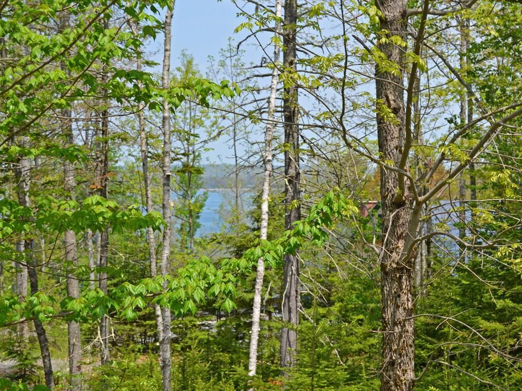 47 Shore Acres Road Bar Harbor, ME 04609 - Photo 3 of 21 A view of the ocean through the trees.