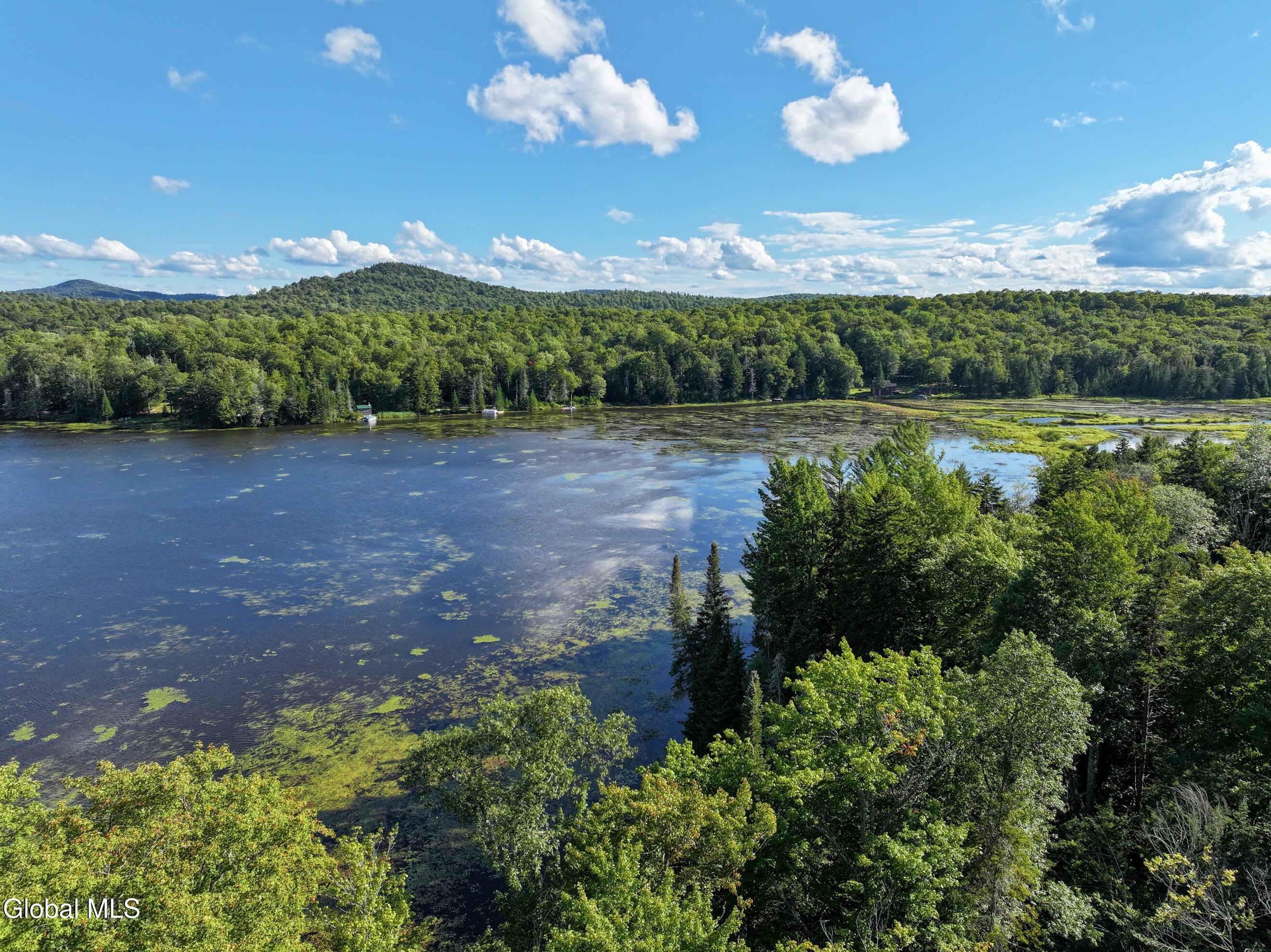 427 Woody's Road Newcomb, NY 12852 - Photo 11 of 15 DJI_20250825164854_0614_D-2 (Copy)
