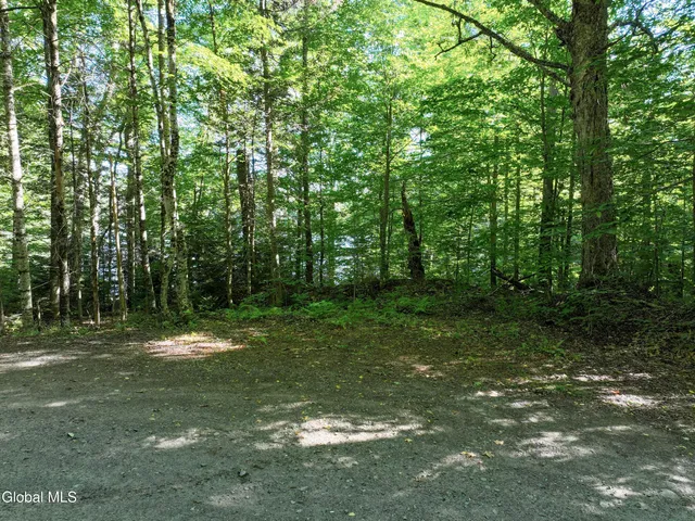 $190,000 | 427 Woody's Road, Newcomb, NY 12852