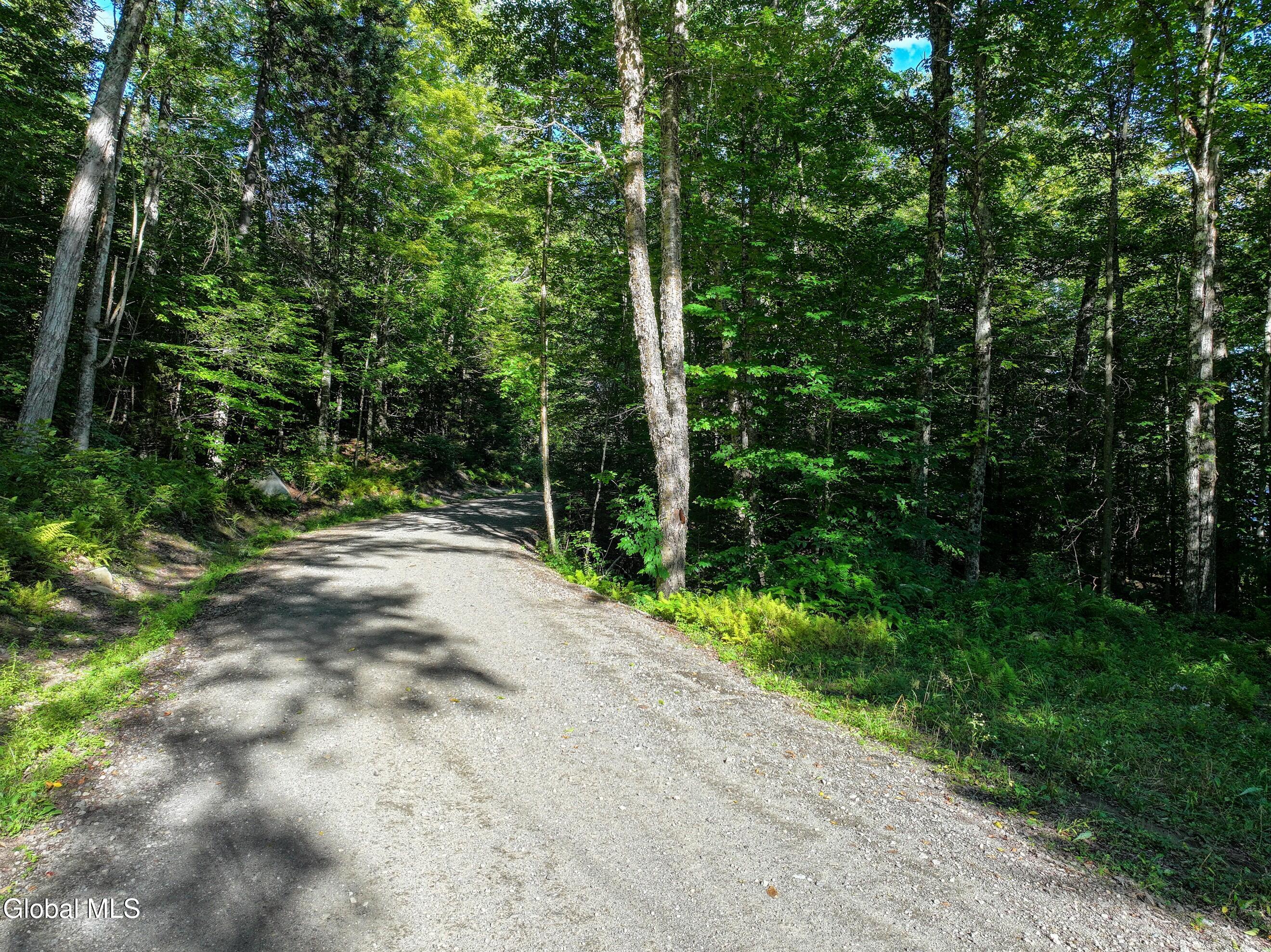 427 Woody's Road Newcomb, NY 12852 - Photo 14 of 15 DJI_20250825165348_0622_D-2 (Copy)