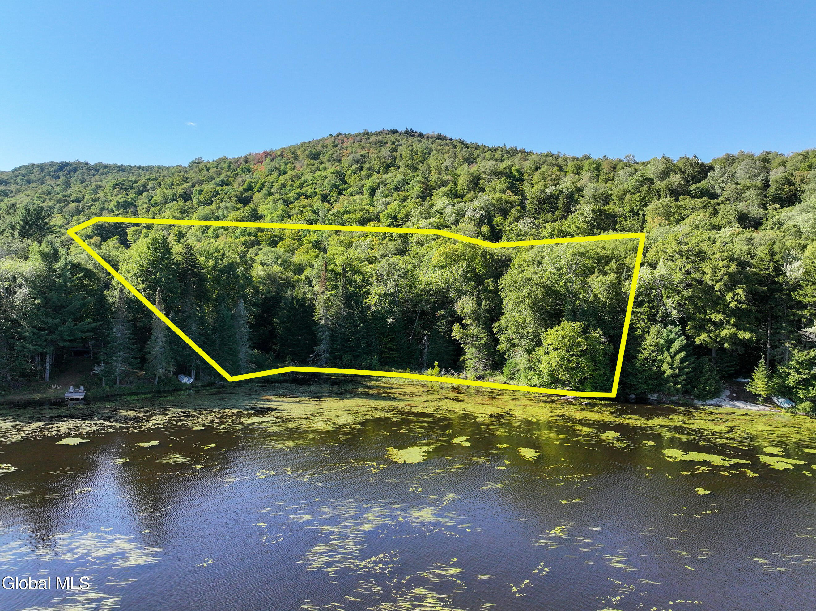 427 Woody's Road Newcomb, NY 12852 - Photo 2 of 15 DJI_20250825165122_0619_D-2 (Copy) Lines