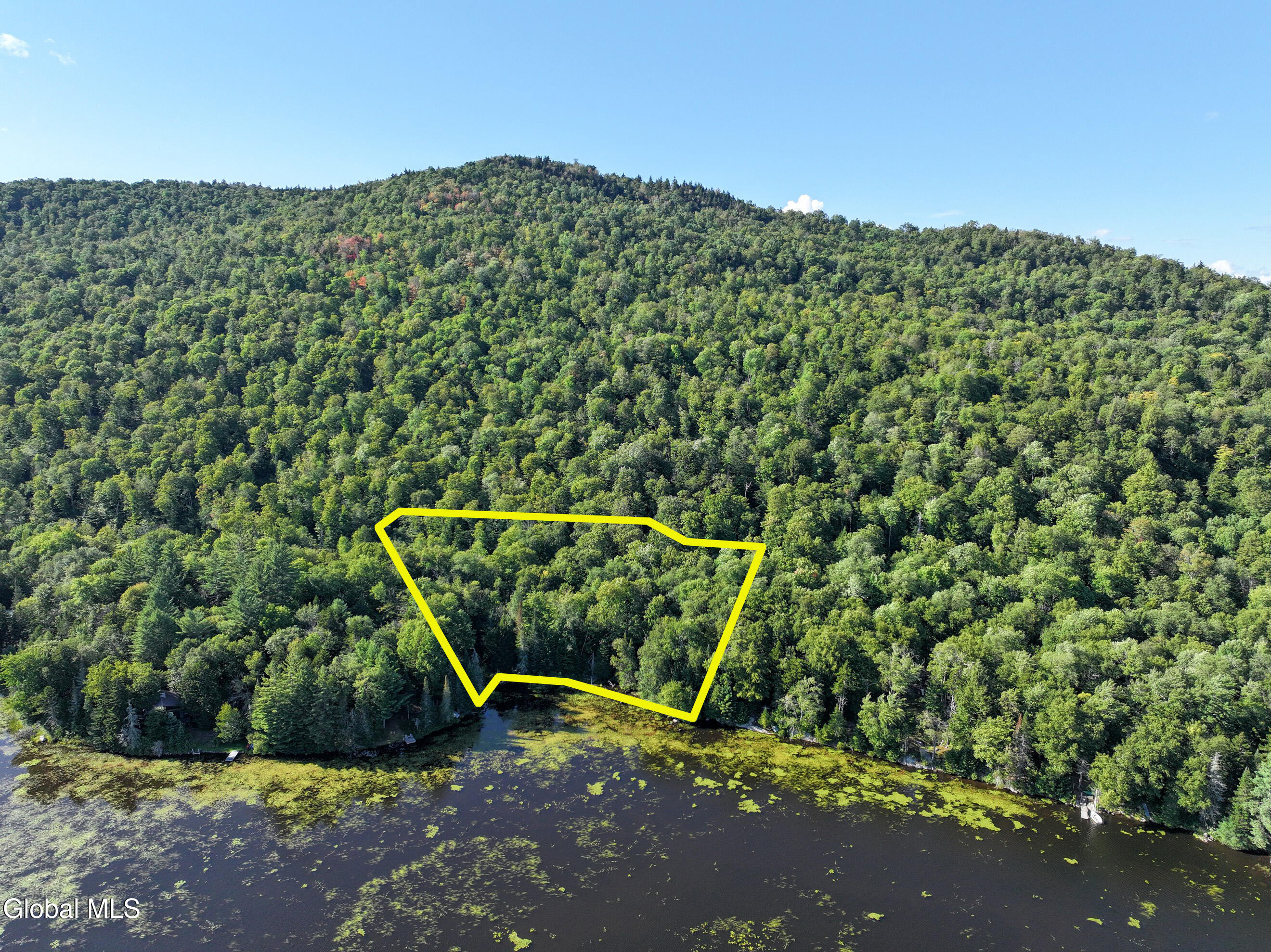 427 Woody's Road Newcomb, NY 12852 - Photo 3 of 15 DJI_20250825165032_0617_D-2 (Copy) Lines