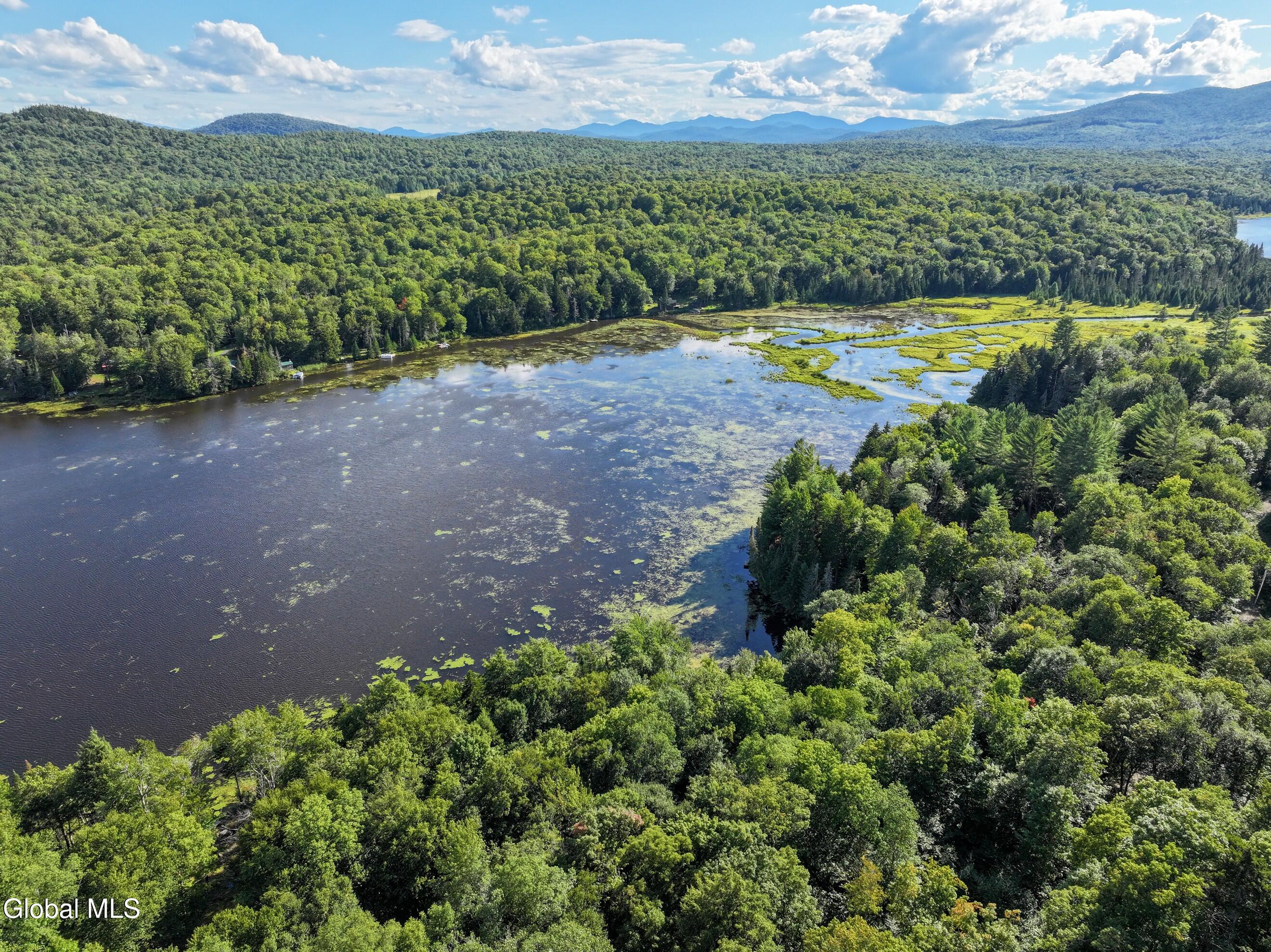 427 Woody's Road Newcomb, NY 12852 - Photo 4 of 15 DJI_20250825164230_0598_D-2 (Copy)