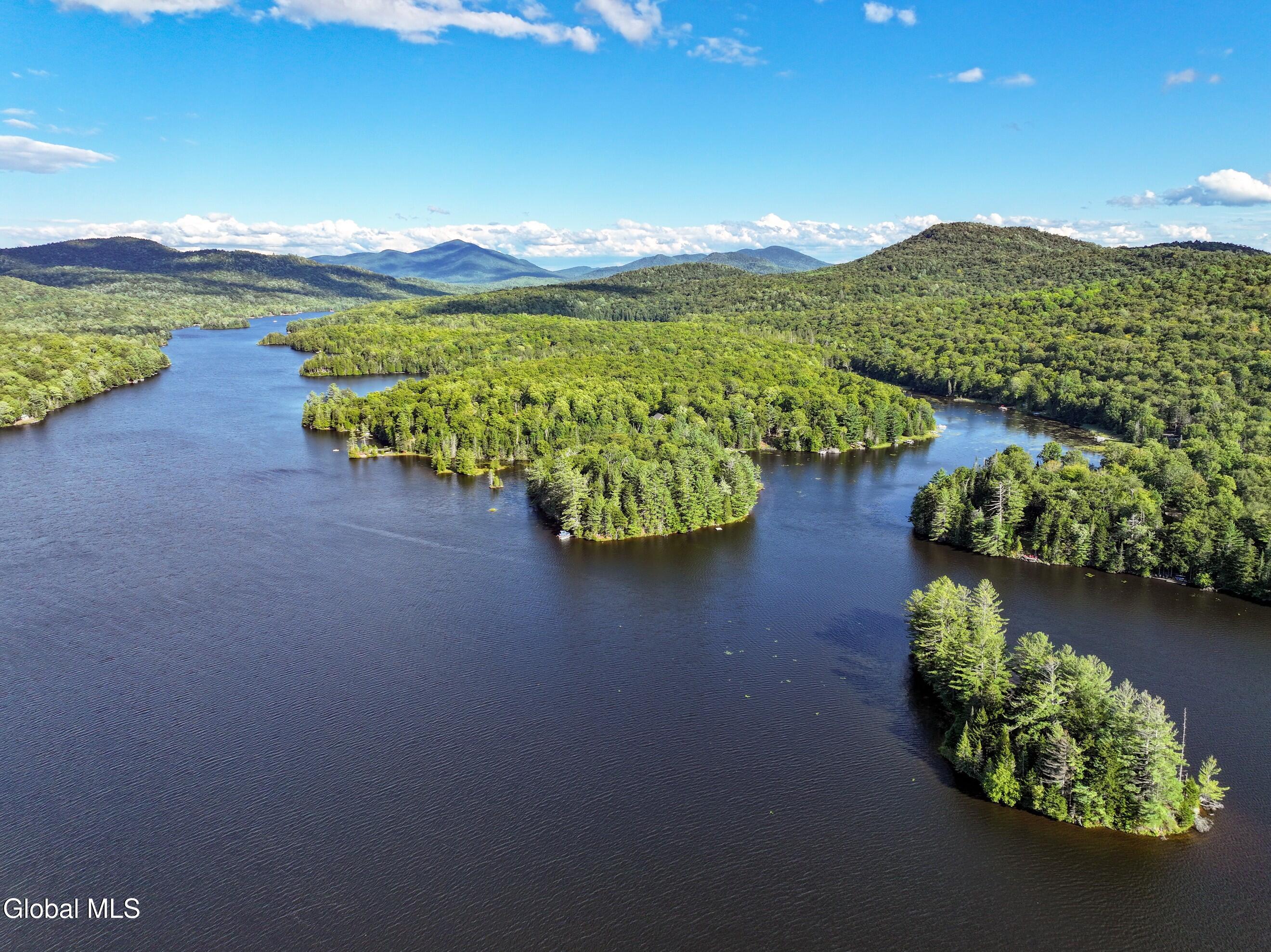 427 Woody's Road Newcomb, NY 12852 - Photo 7 of 15 DJI_20250825164629_0608_D-3 (Copy)