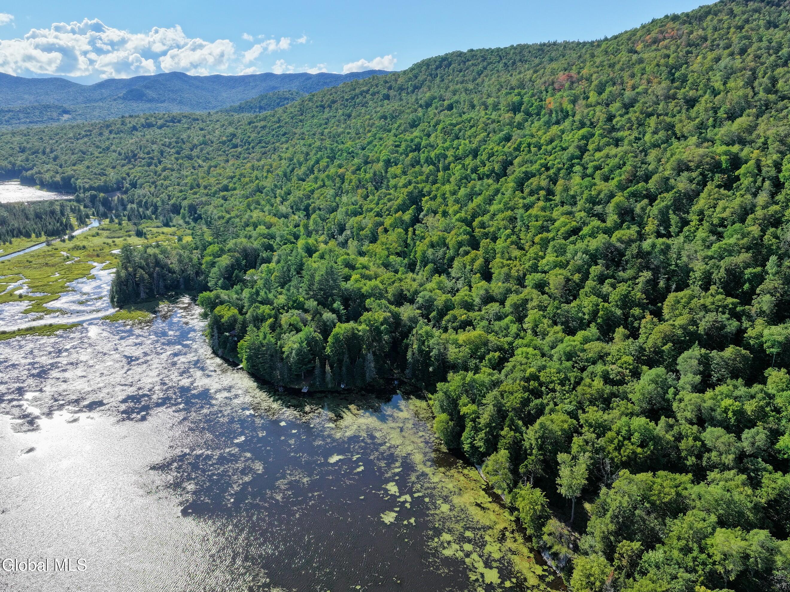 427 Woody's Road Newcomb, NY 12852 - Photo 8 of 15 DJI_20250825164704_0610_D-2 (Copy)