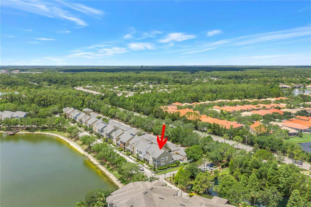 14652 Bournemouth Road Tampa, FL 33626 - Photo 75 of 78 Gallery Image 75