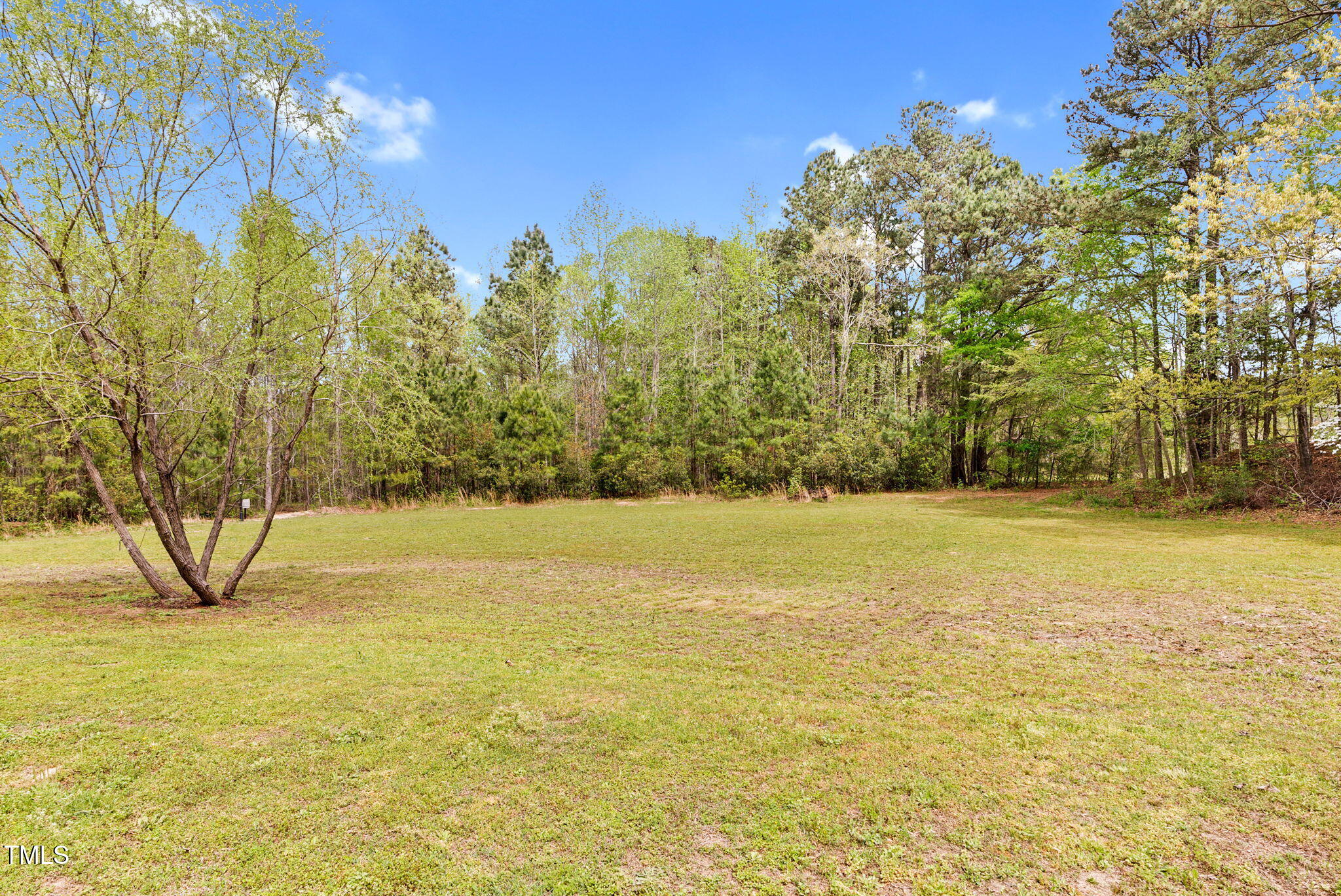 93 Clifton Pond Road Louisburg, NC 27549 - Photo 72 of 77 93 Clifton Pond Road-95