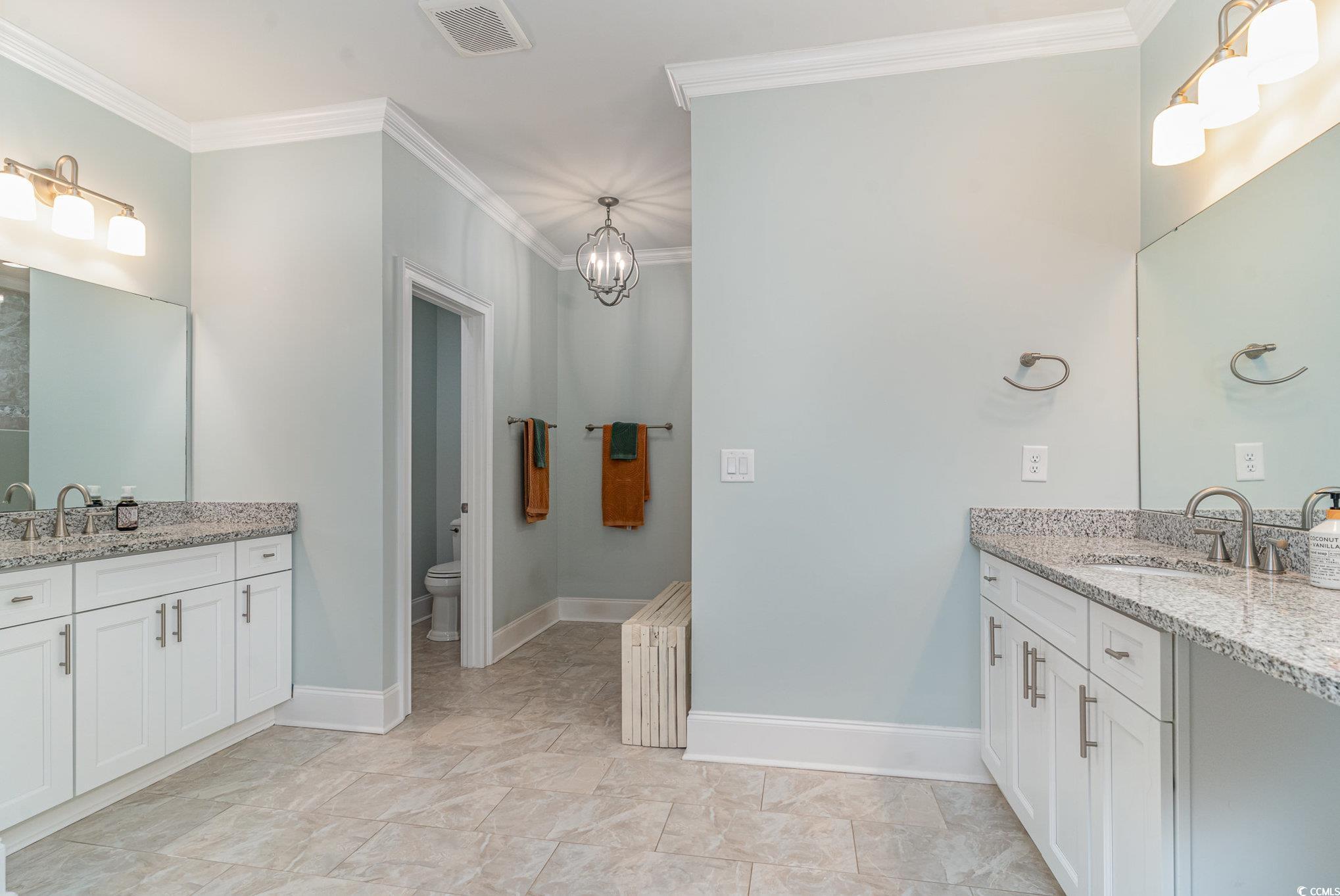 528 Starlit Way Myrtle Beach, SC 29579 - Photo 21 of 40 Bathroom featuring vanity, toilet, ornamental mold