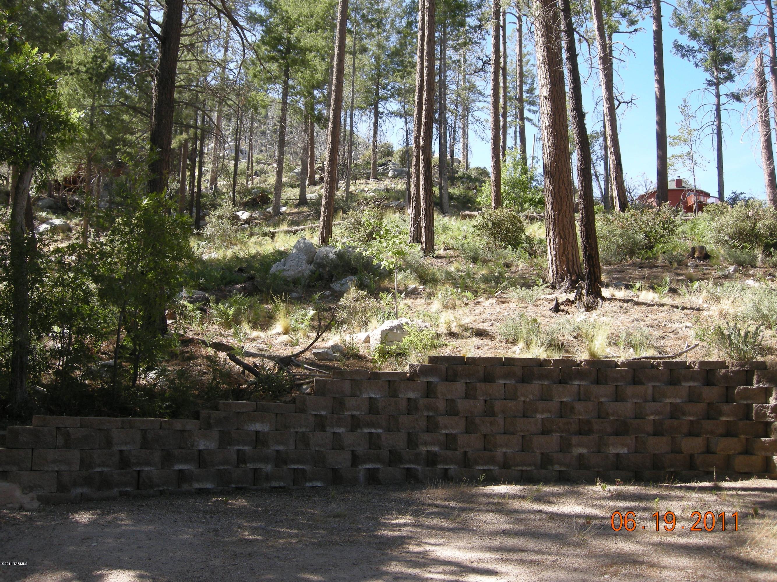 11207 East Carter Canyon Road Mount Lemmon, AZ 85619 - Photo 15 of 18