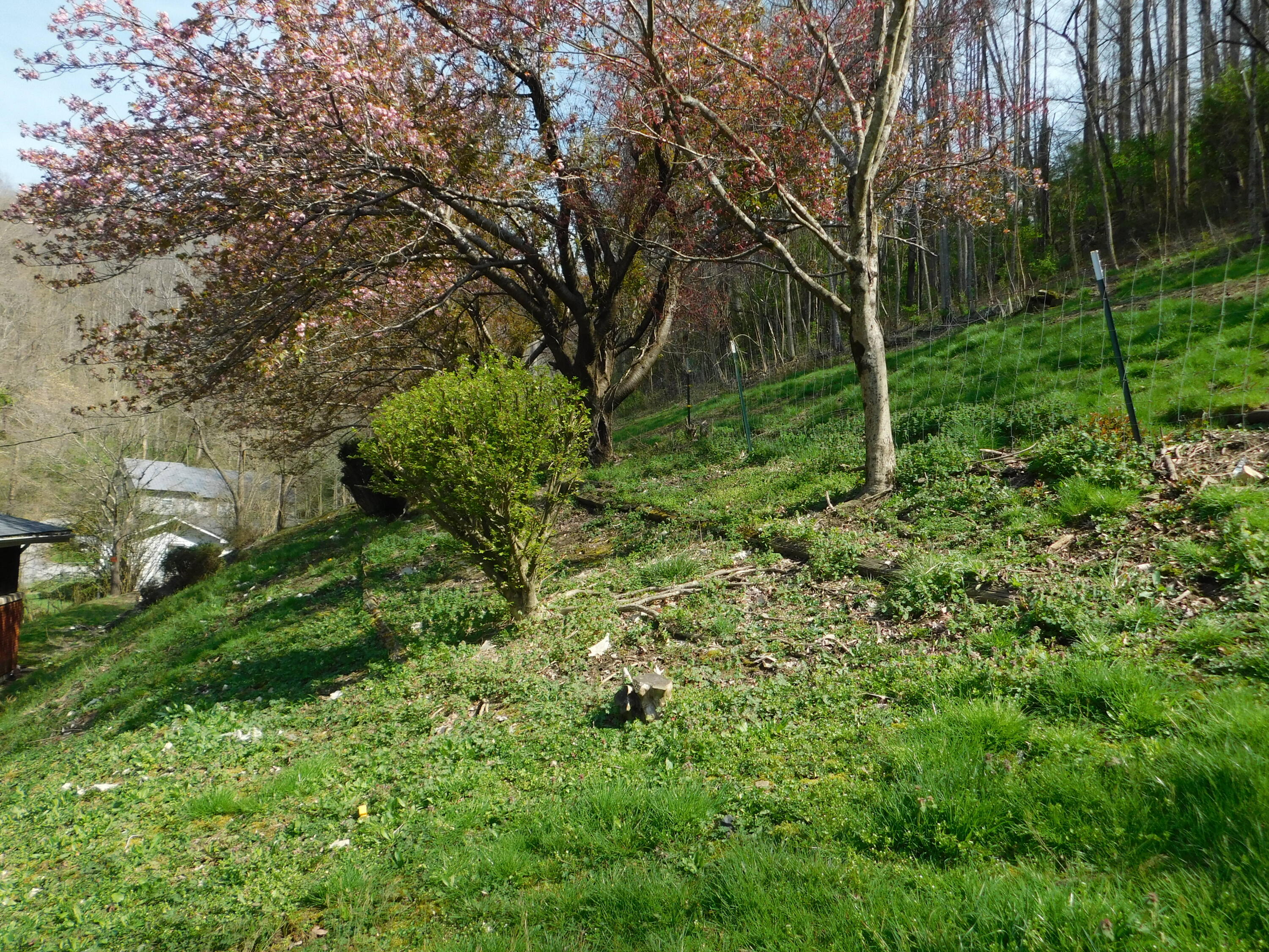 116 Wolf Hollow Road Baxter, KY 40806 - Photo 72 of 80 DSCN6979