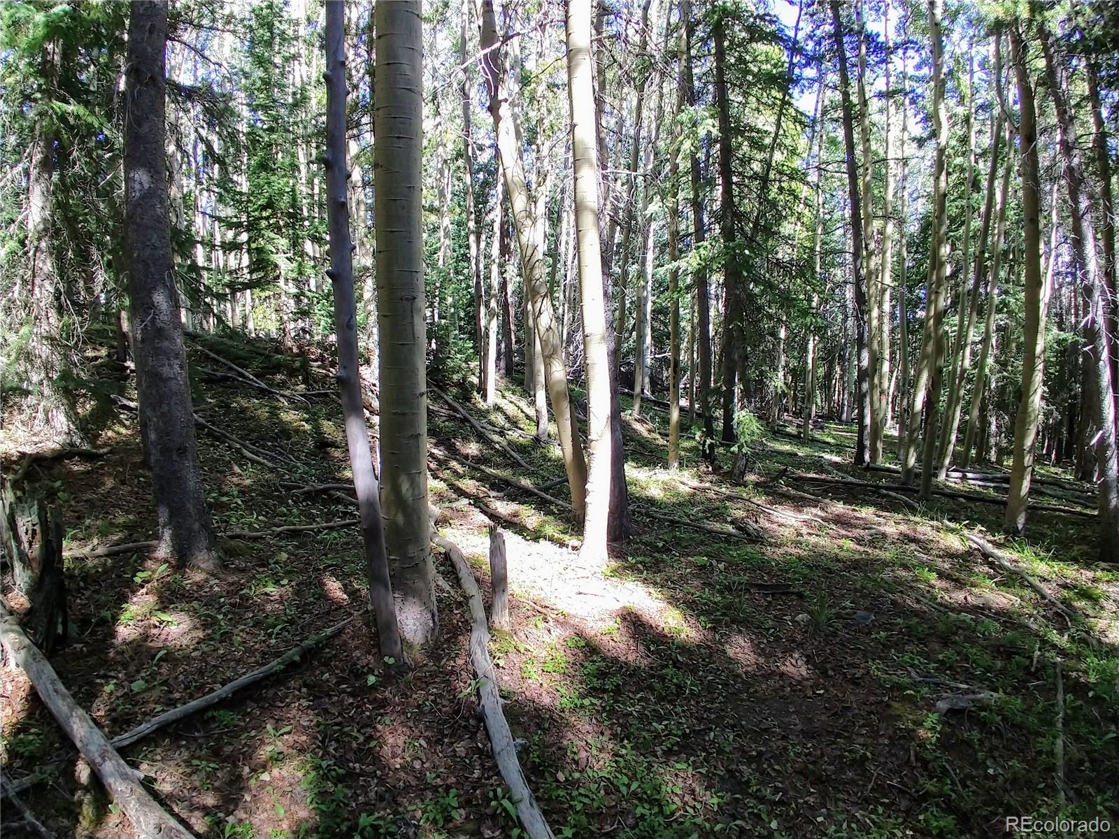 Lot 6 Long Road Idaho Springs, CO 80452 - Photo 9 of 12 Gallery Image 9
