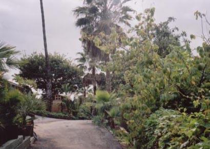 3616 Foothill Road Carpinteria, CA 93013 - Photo 4 of 4 driveway