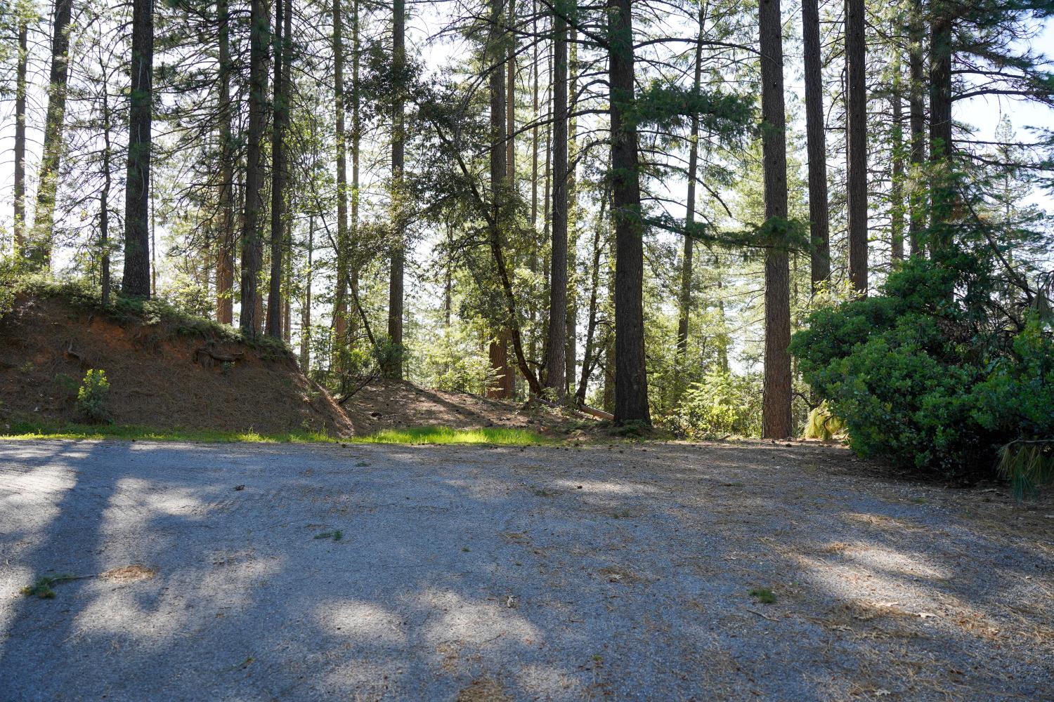 30220 Magra Road Gold Run, CA 95717 - Photo 40 of 51